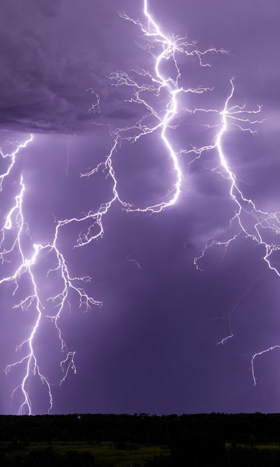 Multiple bright lightning bolts illuminate dramatic night sky