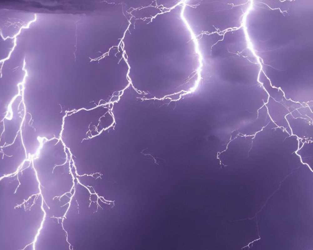 Multiple bright lightning bolts illuminate dramatic night sky