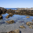 Twilight beach scene with starfish, shells, stars, waves, and rocky outcrops