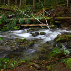 Tranquil forest scene with stone arch bridge and waterfall