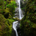 Moss-covered trees, waterfall, and lanterns in forest setting