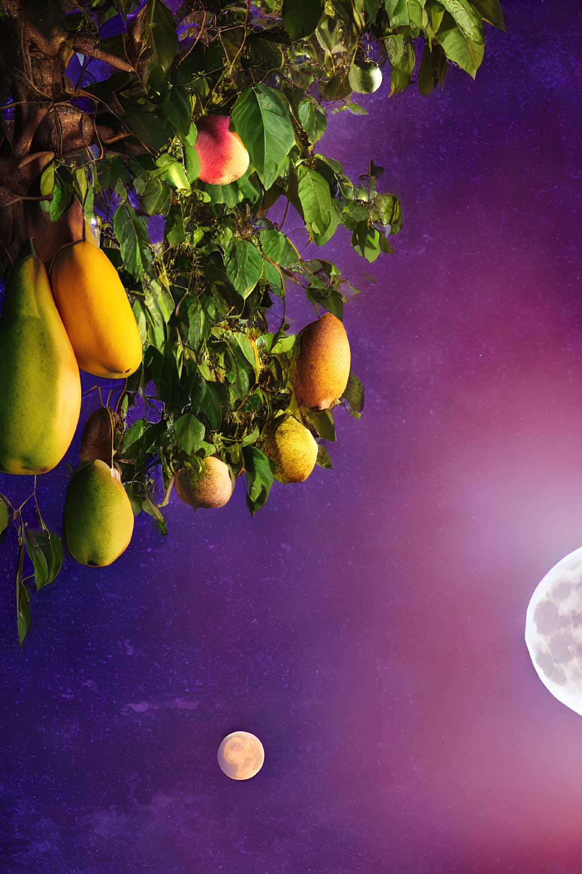 Ripe pears on tree branch under purple sky with moon & planet