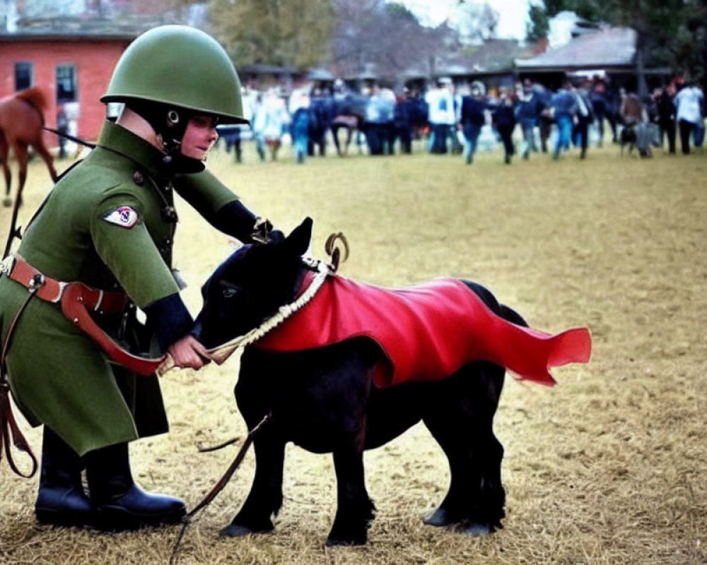 Person in green uniform pets small black goat at outdoor event