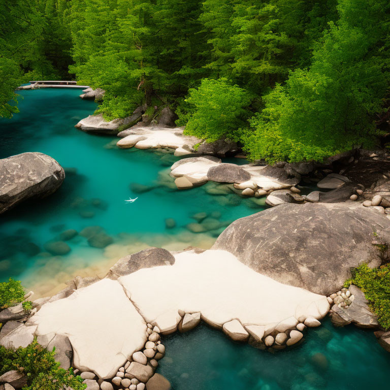 Tranquil river in forest with turquoise water, rocks, trees, and bird