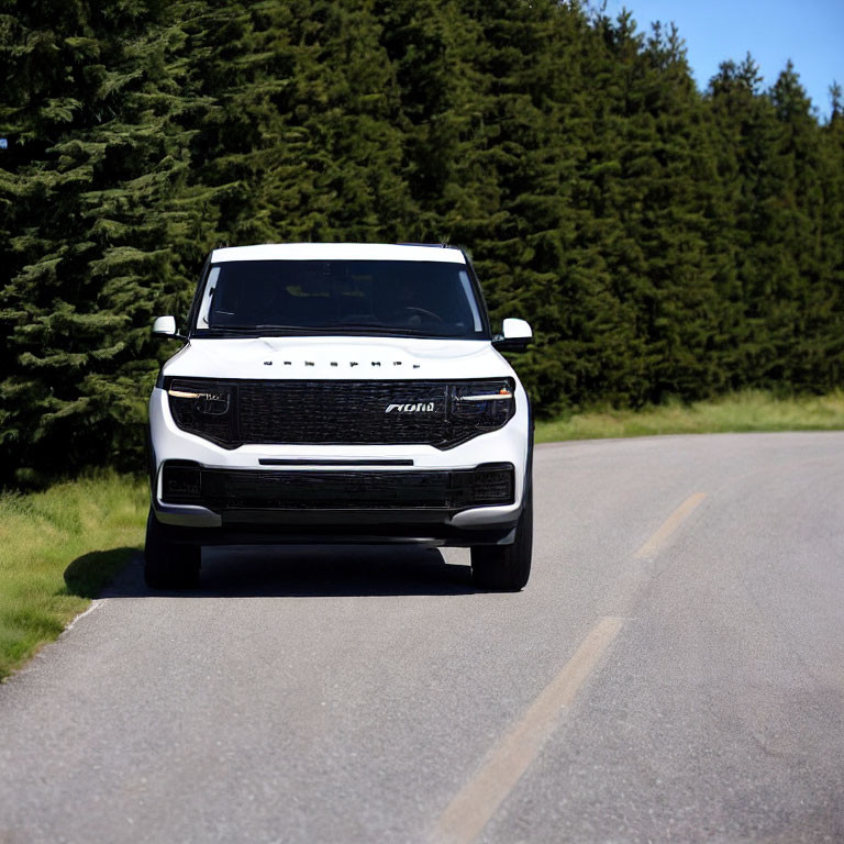 White SUV parked on asphalt road with green trees and clear sky