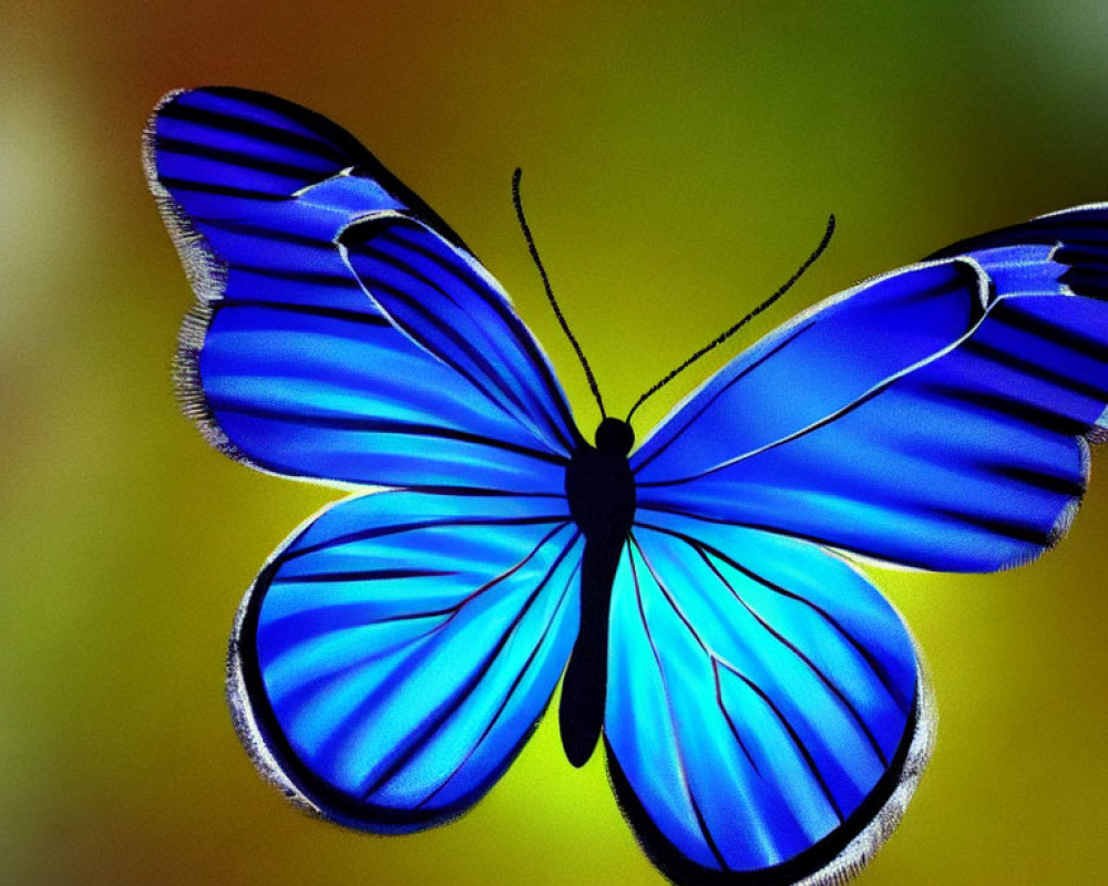 Colorful Spread-Winged Blue Butterfly on Green and Yellow Background