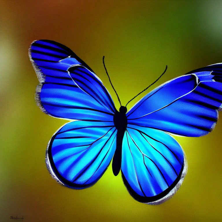 Colorful Spread-Winged Blue Butterfly on Green and Yellow Background