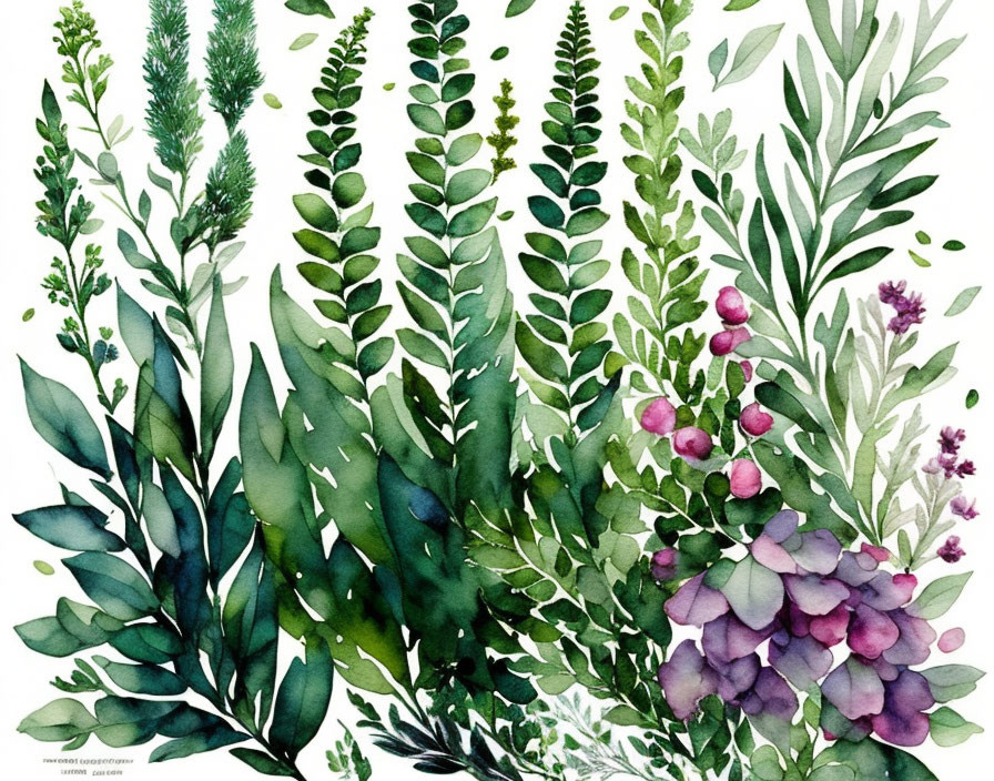 Greenery Watercolor Illustration with Purple Flowers