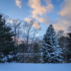 Winter landscape with snow-covered trees under twilight sky.