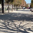 Surreal landscape with cherry blossom trees, lotus river, stone paths, & golden spires