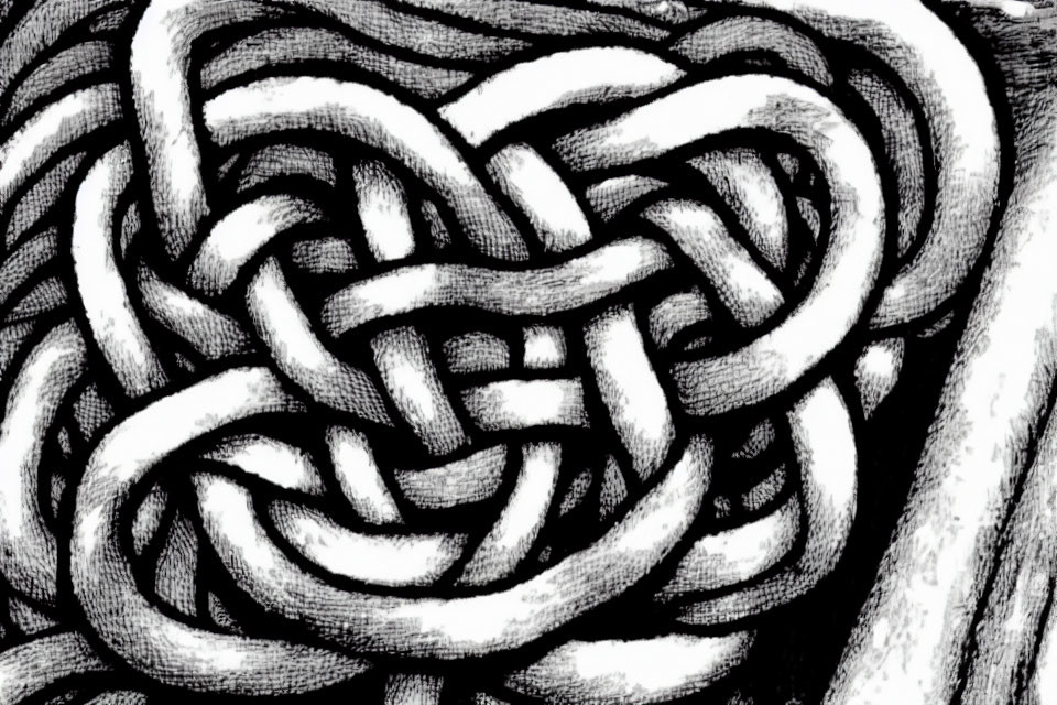 Detailed monochromatic hand-drawn Celtic knotwork design with interlaced lines.