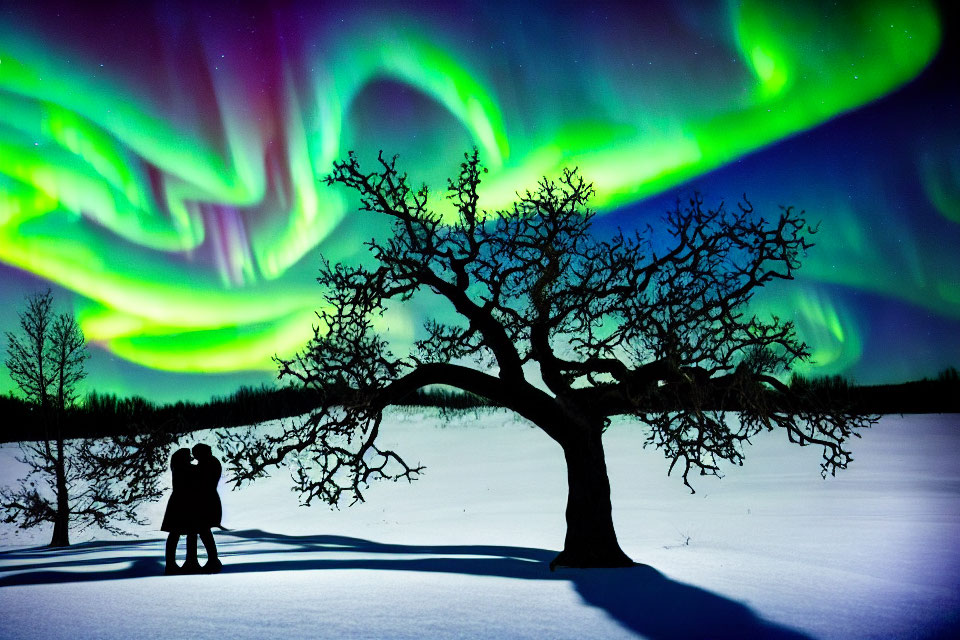 Couple under vivid aurora borealis and twisted tree in snowy night landscape