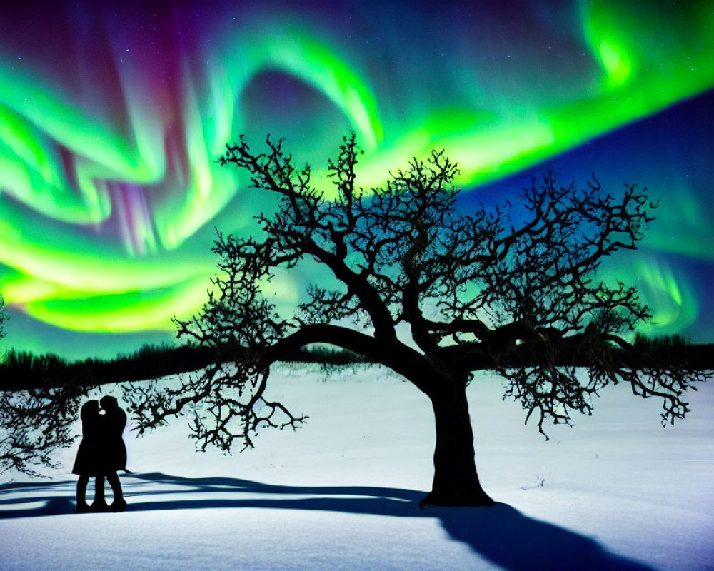 Couple under vivid aurora borealis and twisted tree in snowy night landscape