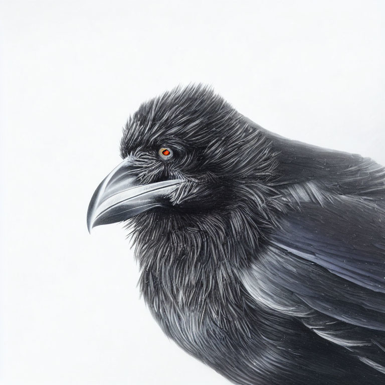 Detailed Drawing of Raven with Black Feathers and Red Eye