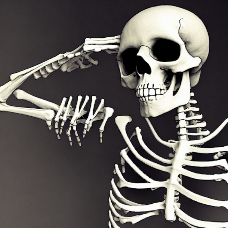 Human skeleton in pondering pose against dark backdrop