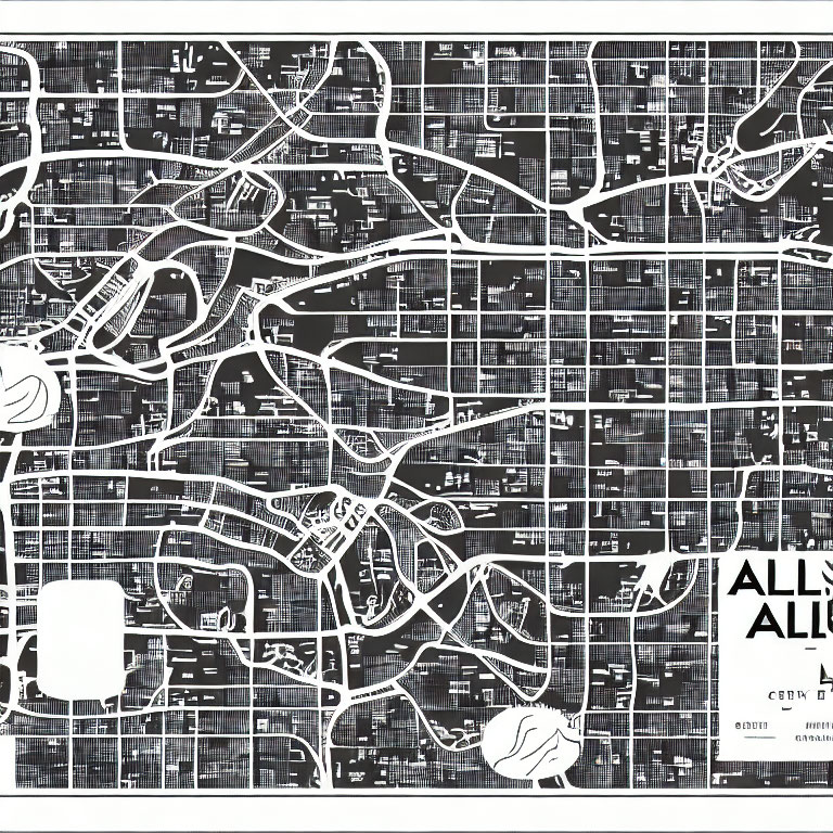 Detailed Black and White City Map with Intricate Street Patterns