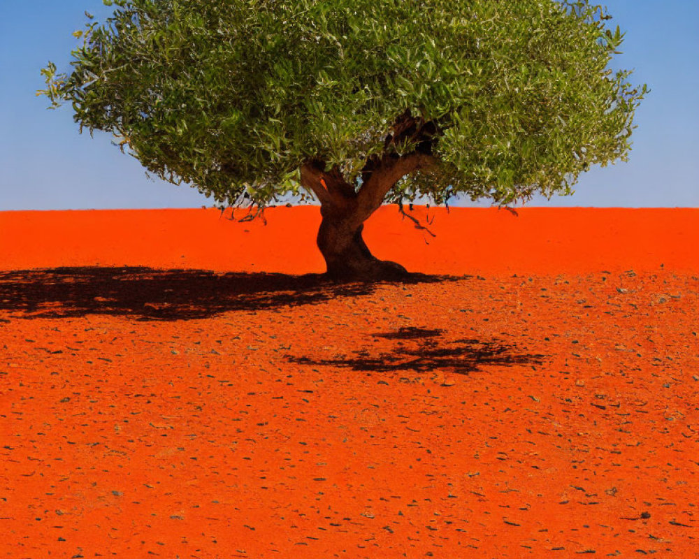 Vibrant red desert sands contrast with a green tree under clear blue sky