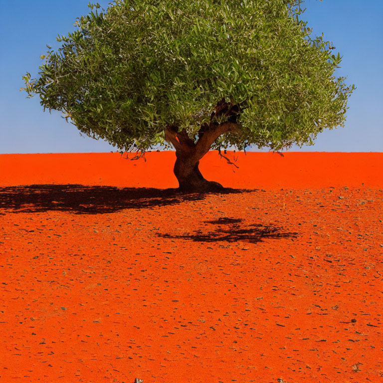 Vibrant red desert sands contrast with a green tree under clear blue sky