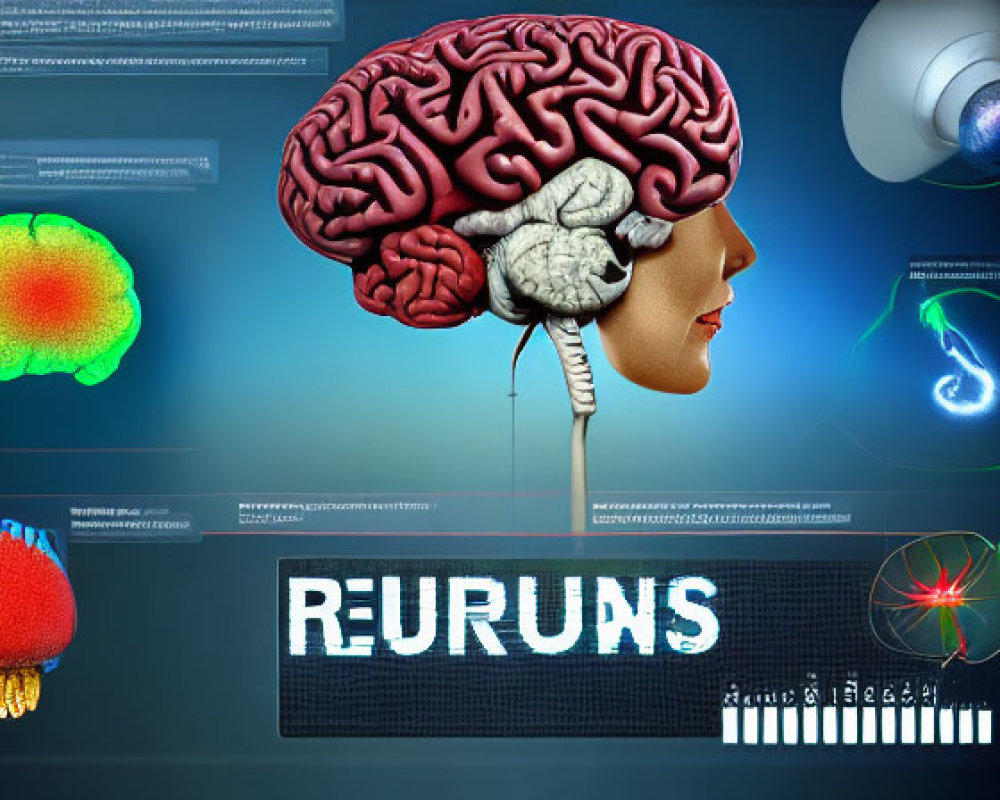 Digital collage of human head profile with exposed brain and futuristic interfaces, featuring "RERUNS" word