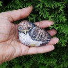 Fluffy grey and white bird perched on hand with green foliage