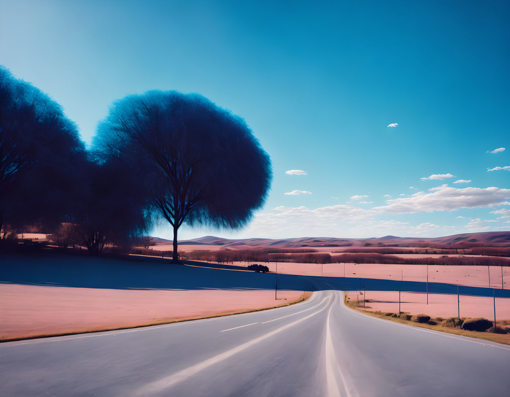 Color-Altered Landscape with Curving Road and Round-Topped Trees