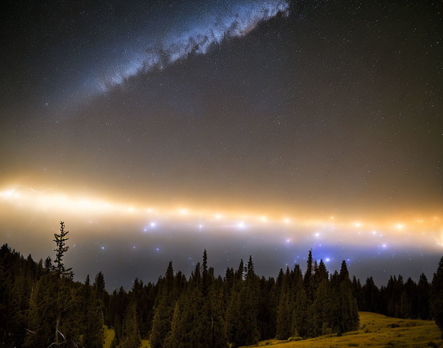 Starry night sky over forested landscape