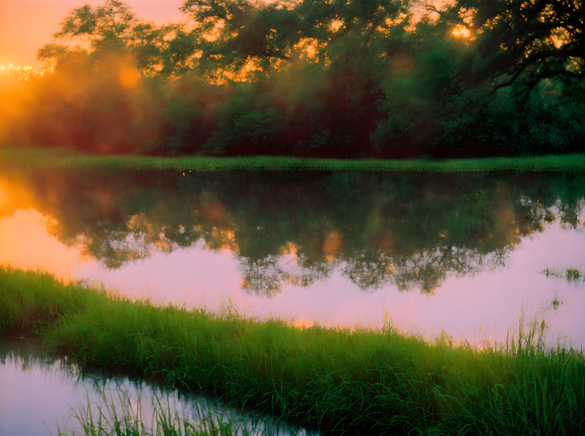 Tranquil pond at sunset with warm hues and lush surroundings