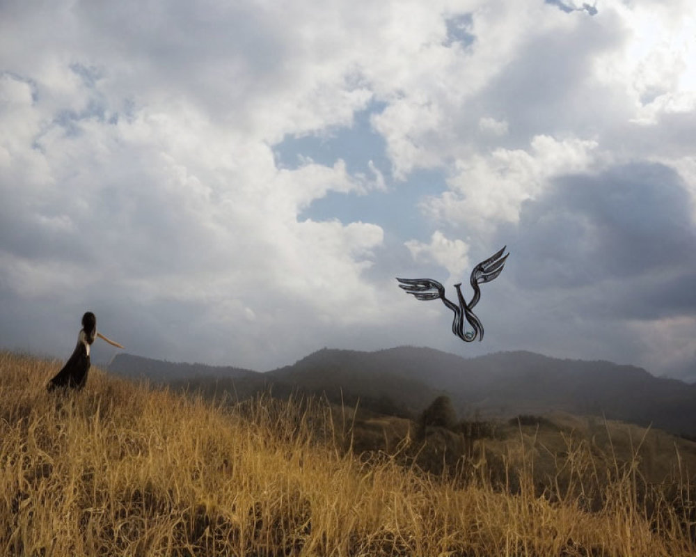 Person in golden field gazes at bird-like figure under cloudy sky