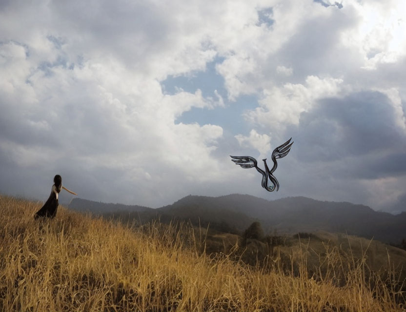 Person in golden field gazes at bird-like figure under cloudy sky