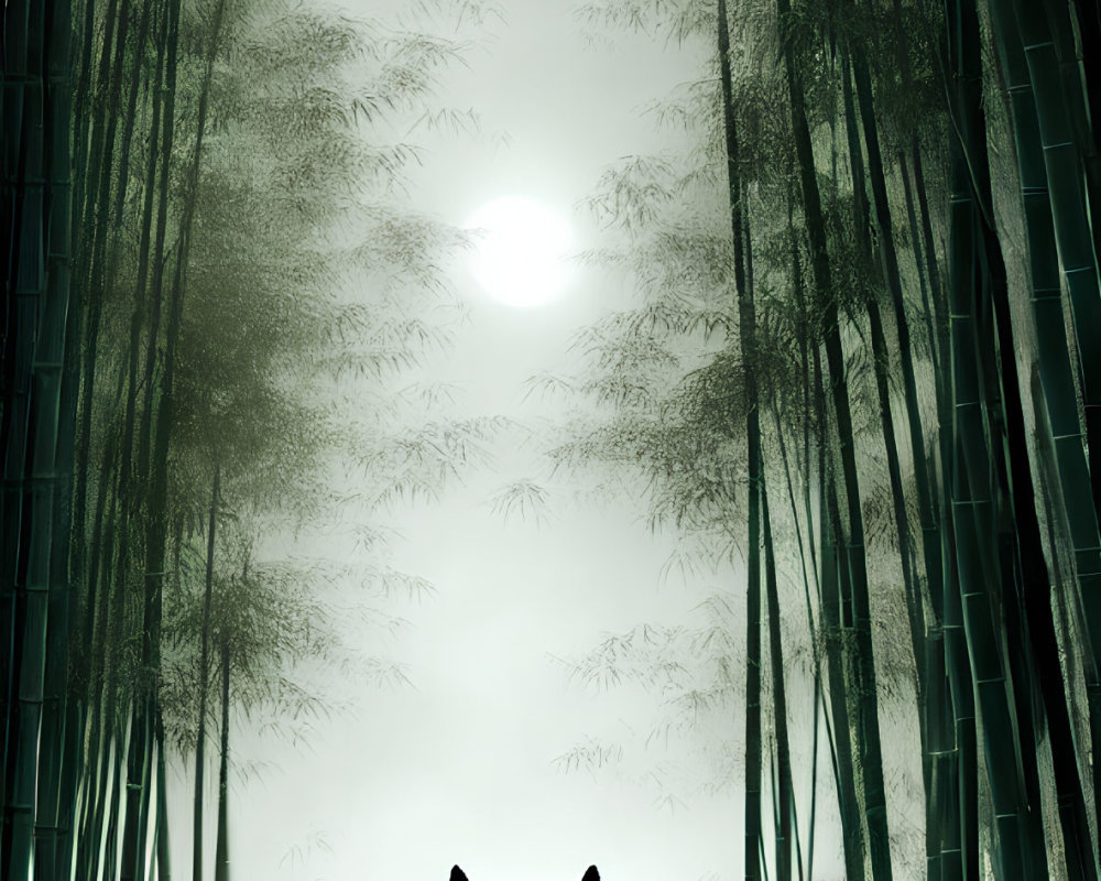 Silhouetted wolf in misty bamboo forest under full moon