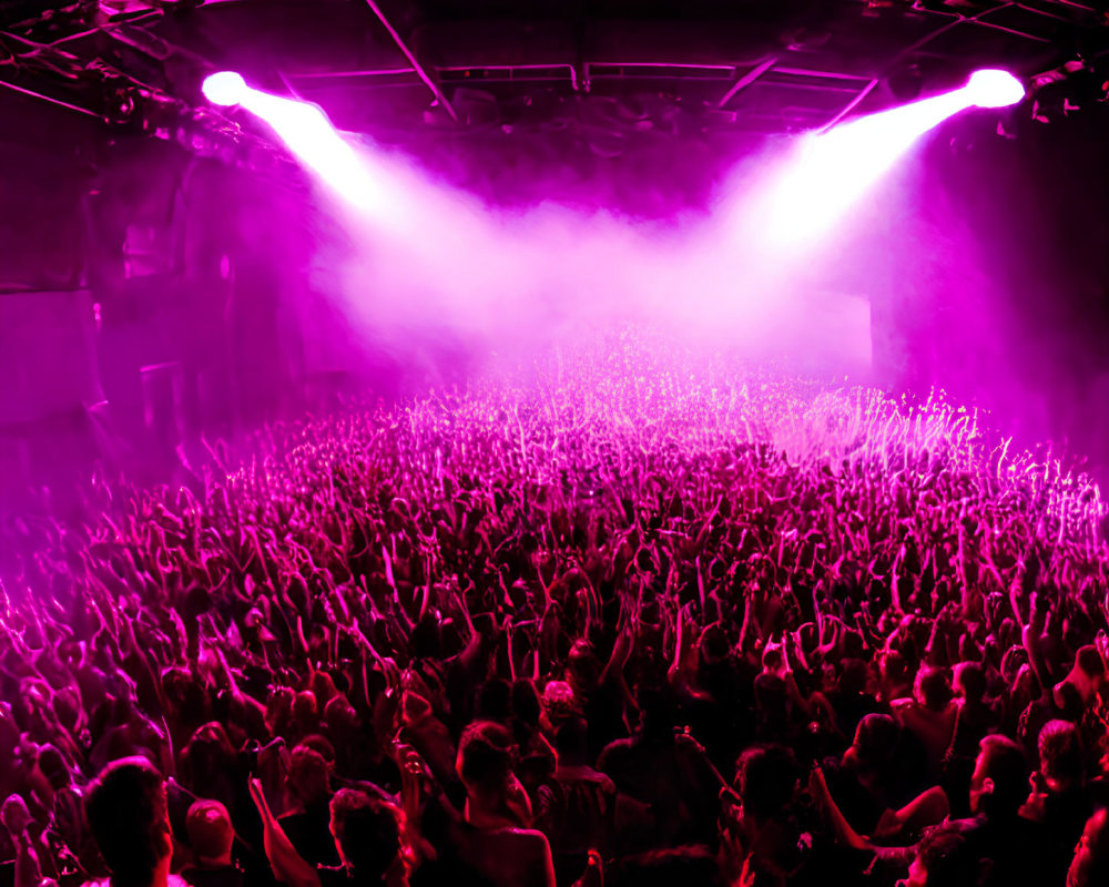 Concert crowd with raised hands under purple stage lights