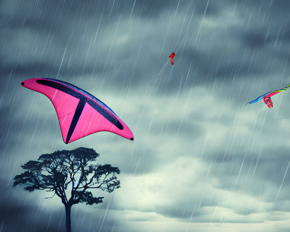 Pink kite flying under stormy sky with rain, two smaller kites, lone tree silhouette