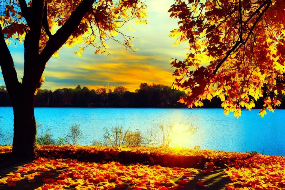 Tranquil autumn landscape with tree, golden leaves, sunset sky, and lake