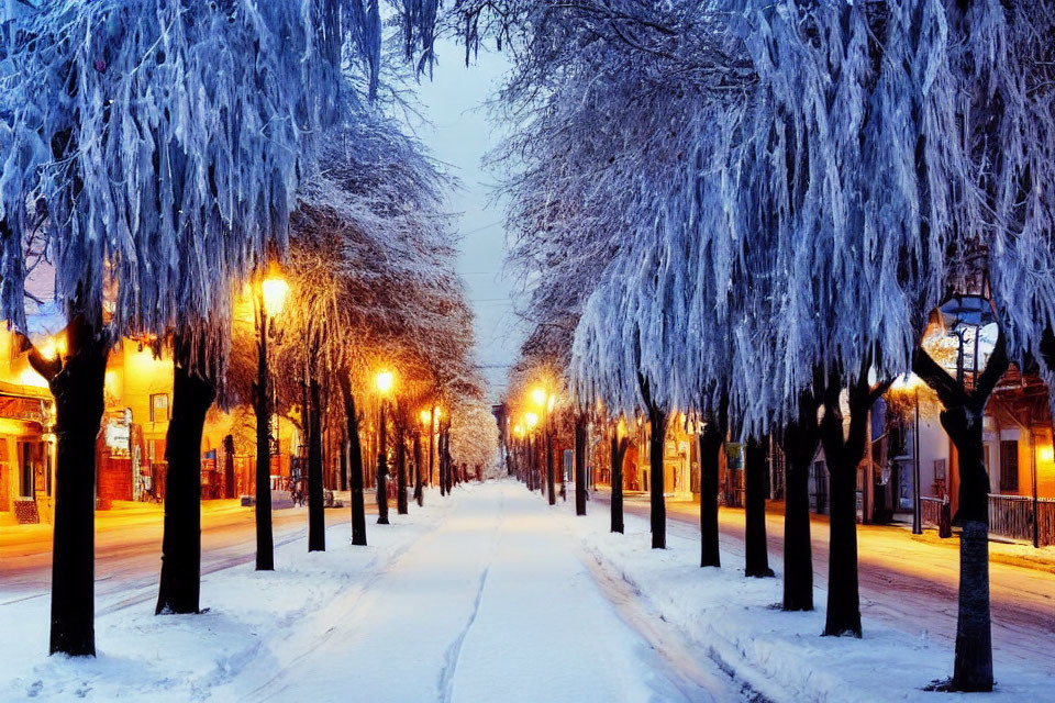 Snowy Dusk Street Scene with Illuminated Snow-Covered Trees