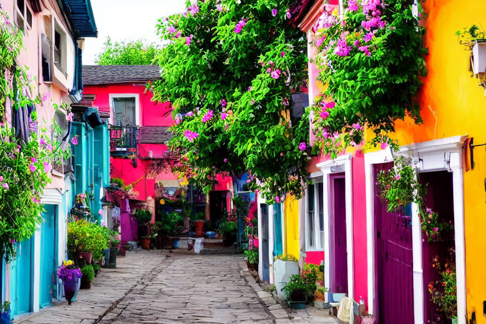 Colorful facades and cobblestone alley with flowers under clear sky