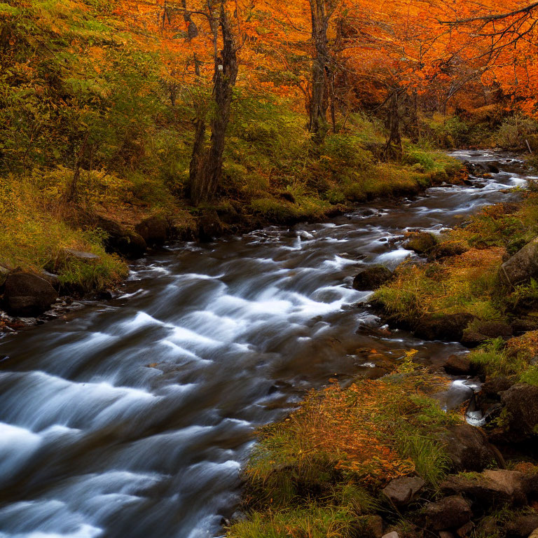 Tranquil autumn creek with vibrant orange foliage