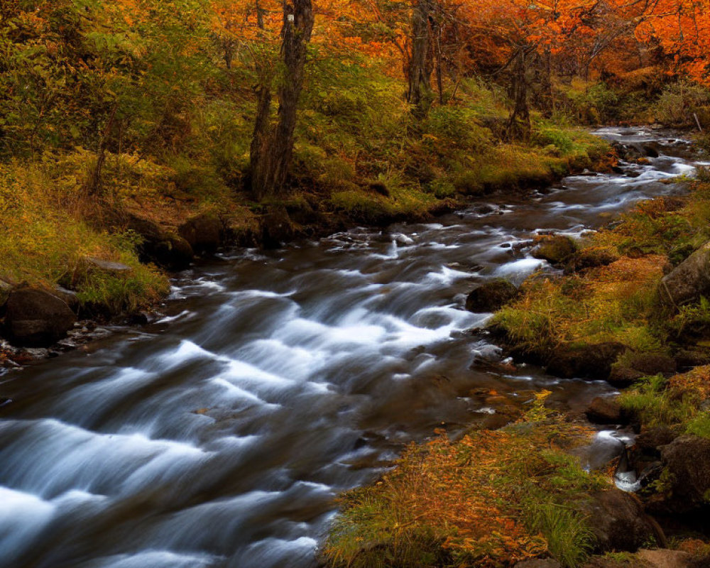 Tranquil autumn creek with vibrant orange foliage