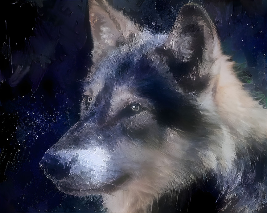 wolf