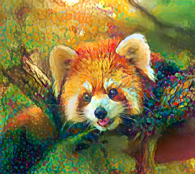 Red panda