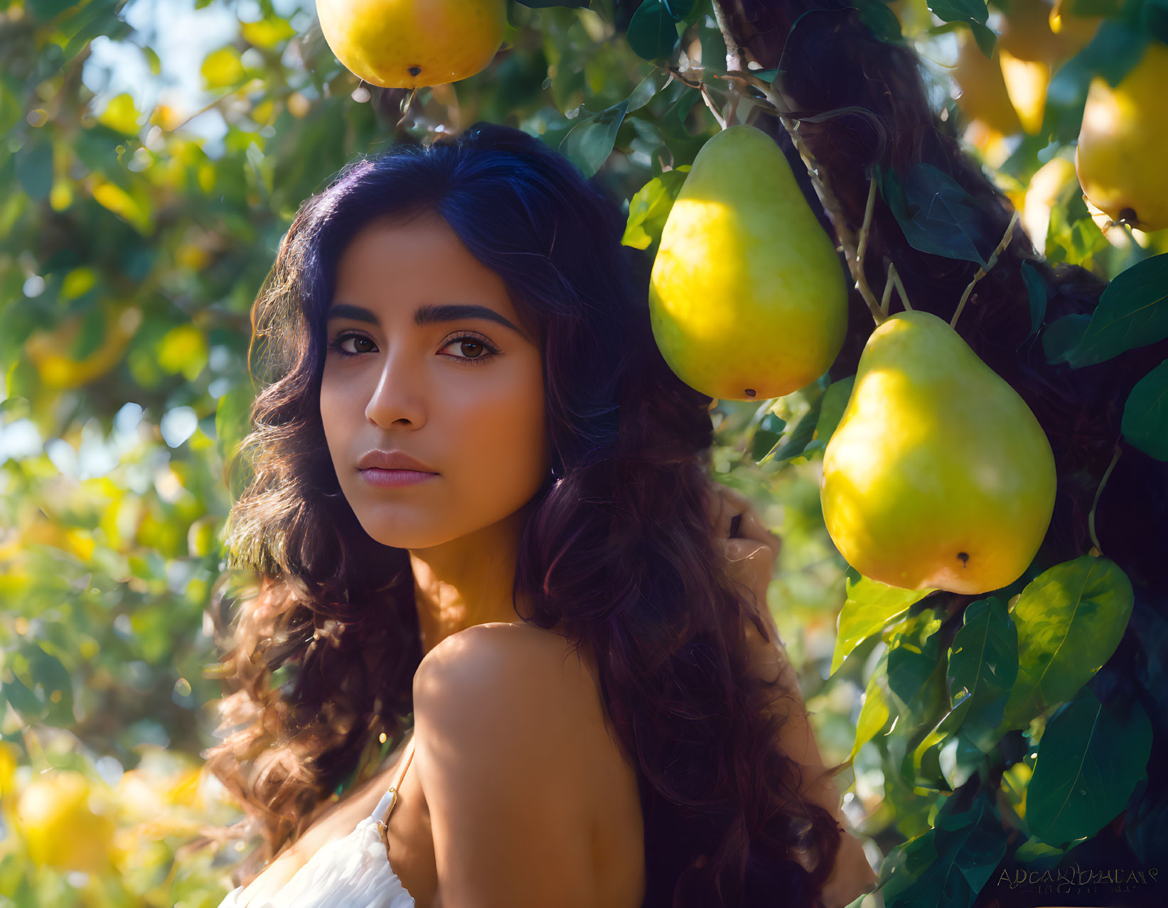 Brown-haired woman surrounded by ripe pears and greenery under sunlight