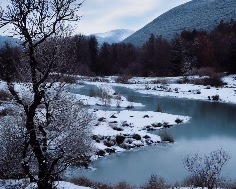 Snow-covered landscape with river and bare trees in winter