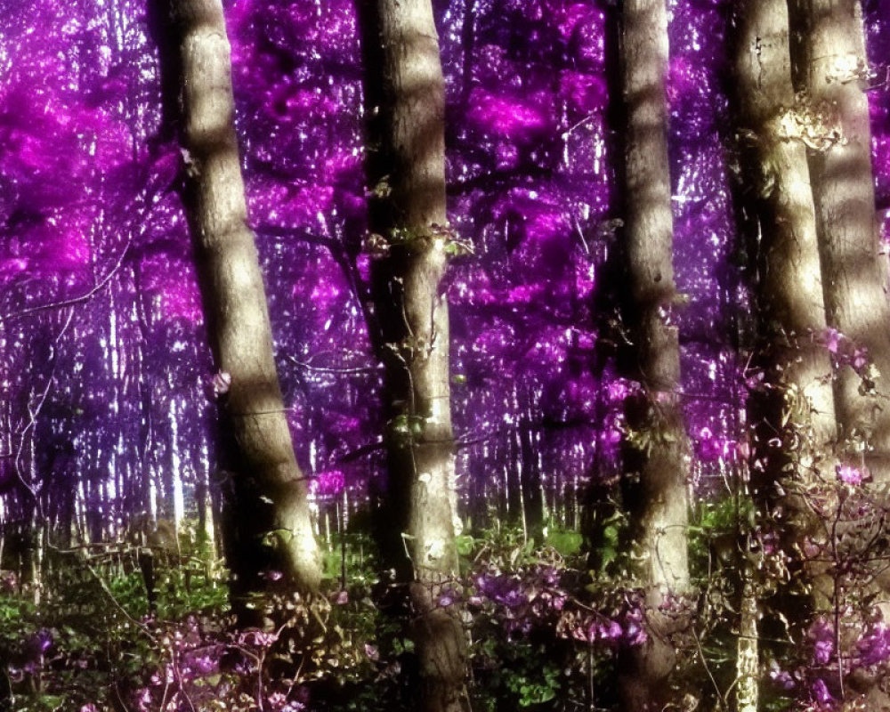 Purple-filtered forest scene with sunlight highlighting vibrant hues of purple leaves and undergrowth