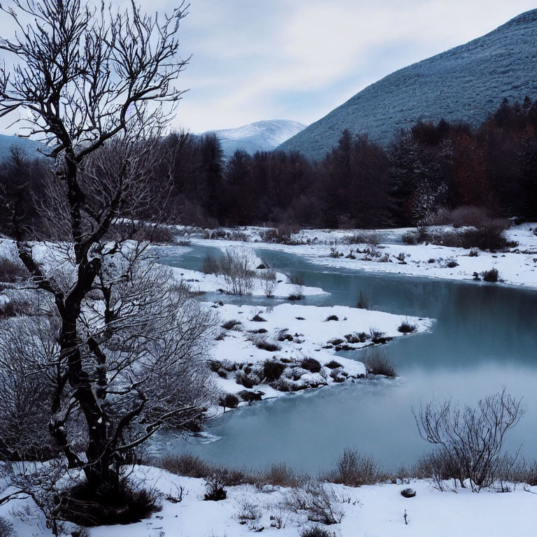 Snow-covered landscape with river and bare trees in winter