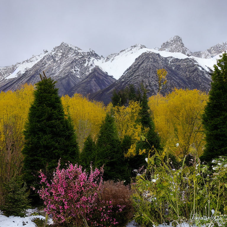 Scenic autumn landscape with snow-capped mountains