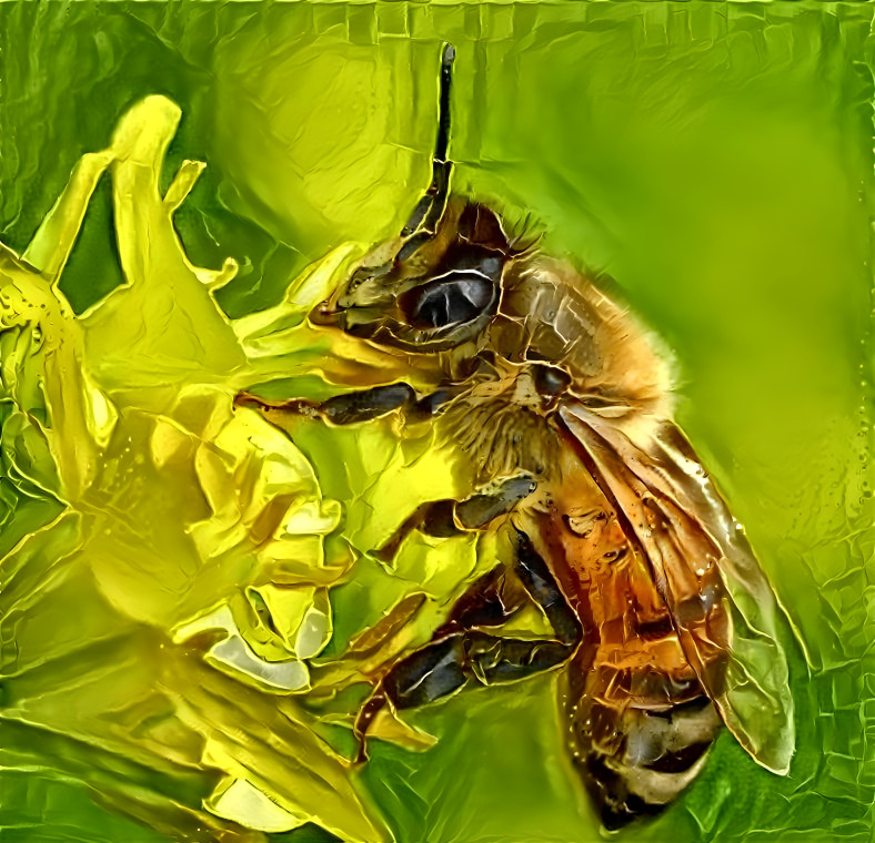 bee