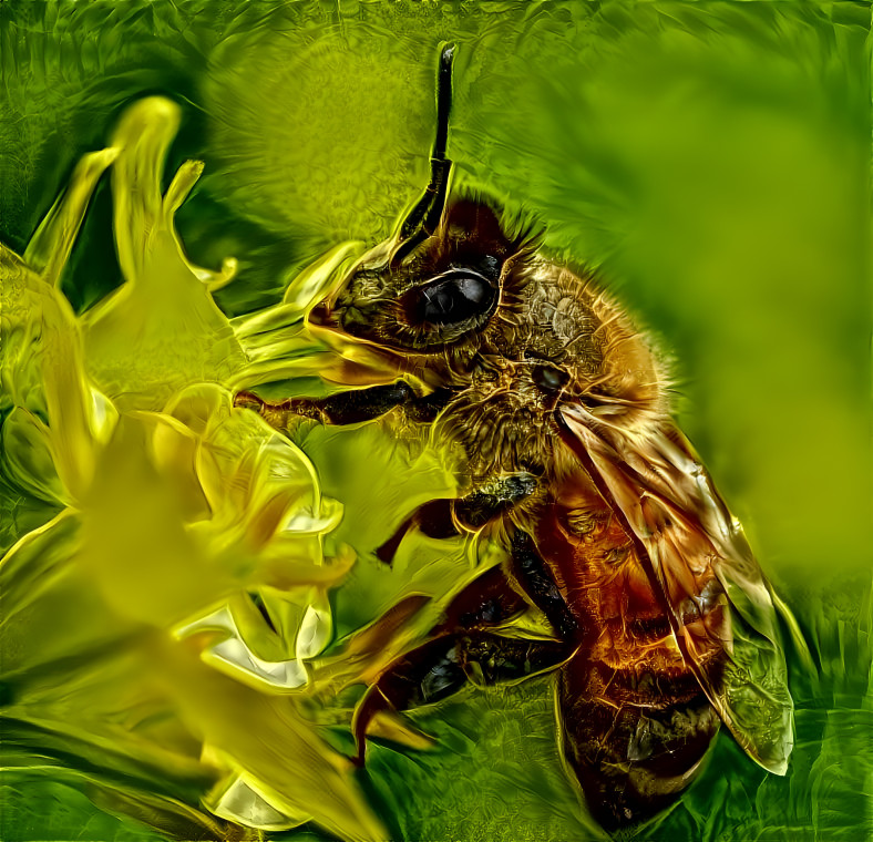 bee