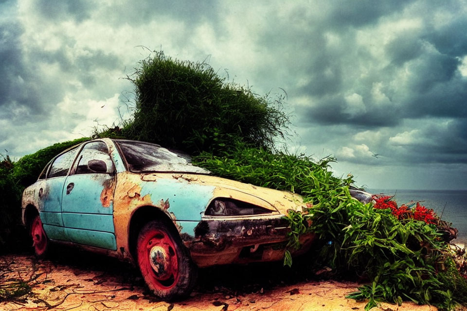 Rusting car reclaimed by nature under stormy sky by water