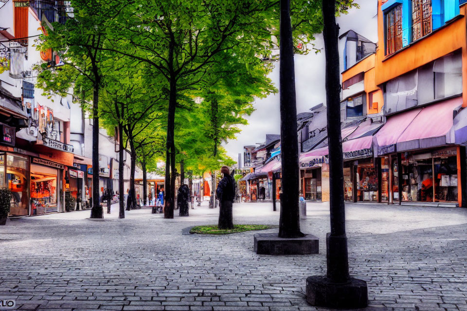 Colorful city street with cobblestone pavement and green trees under cloudy sky