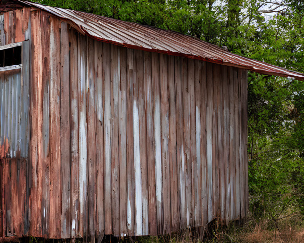 Rustic wooden shed with rusty metal roof in lush surroundings