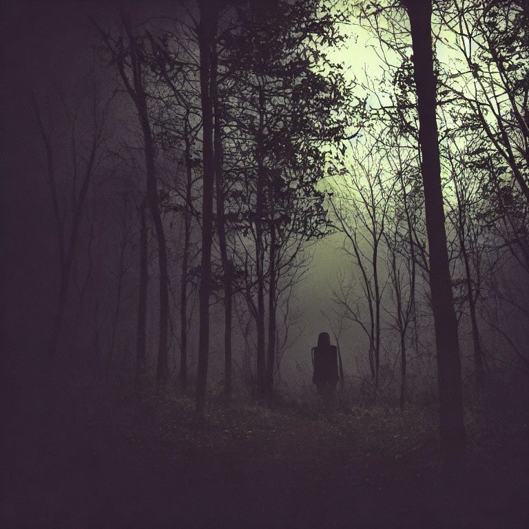 Mysterious figure in foggy forest surrounded by bare trees